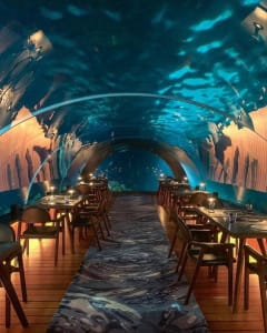 5 Amazing Underwater Restaurants In Maldives That You Ought To Check Out!! 4 underwater restaurant in maldives